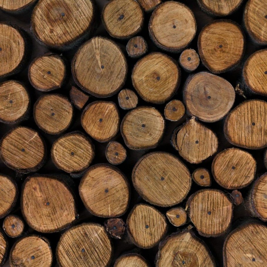 Eine Ansammlung von runden, geschnittenen Holzscheiten in verschiedenen Größen.
