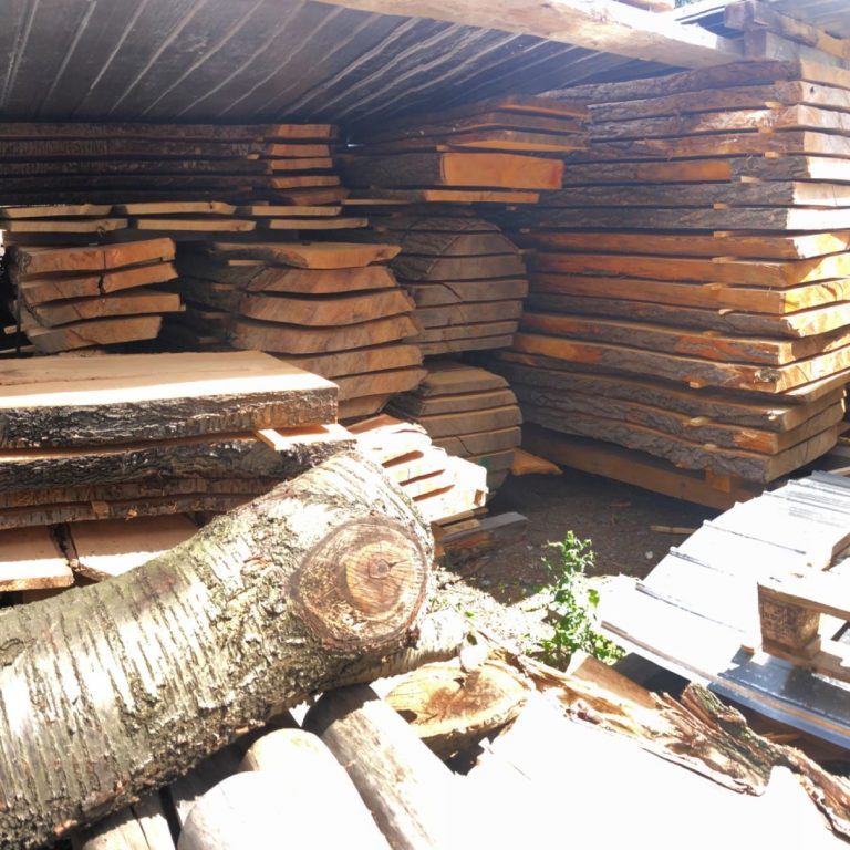 Ein Holzlager mit gestapeltem Holz, darunter ein dicker Baumstamm.